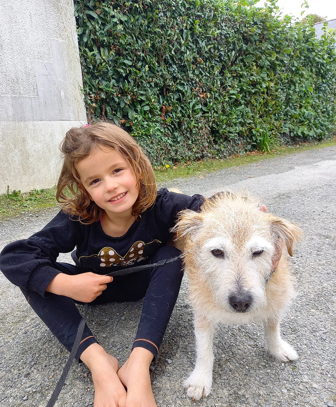 Eva participe au concours pour gagner de l'argent avec cette photo : canidae, carnivore, chair, companion_dog, dog, dog_breed, fun, fur, grass, happy, hedge, joy, leash, leisure, people_in_nature, person, plant, sitting, smile, sporting_group