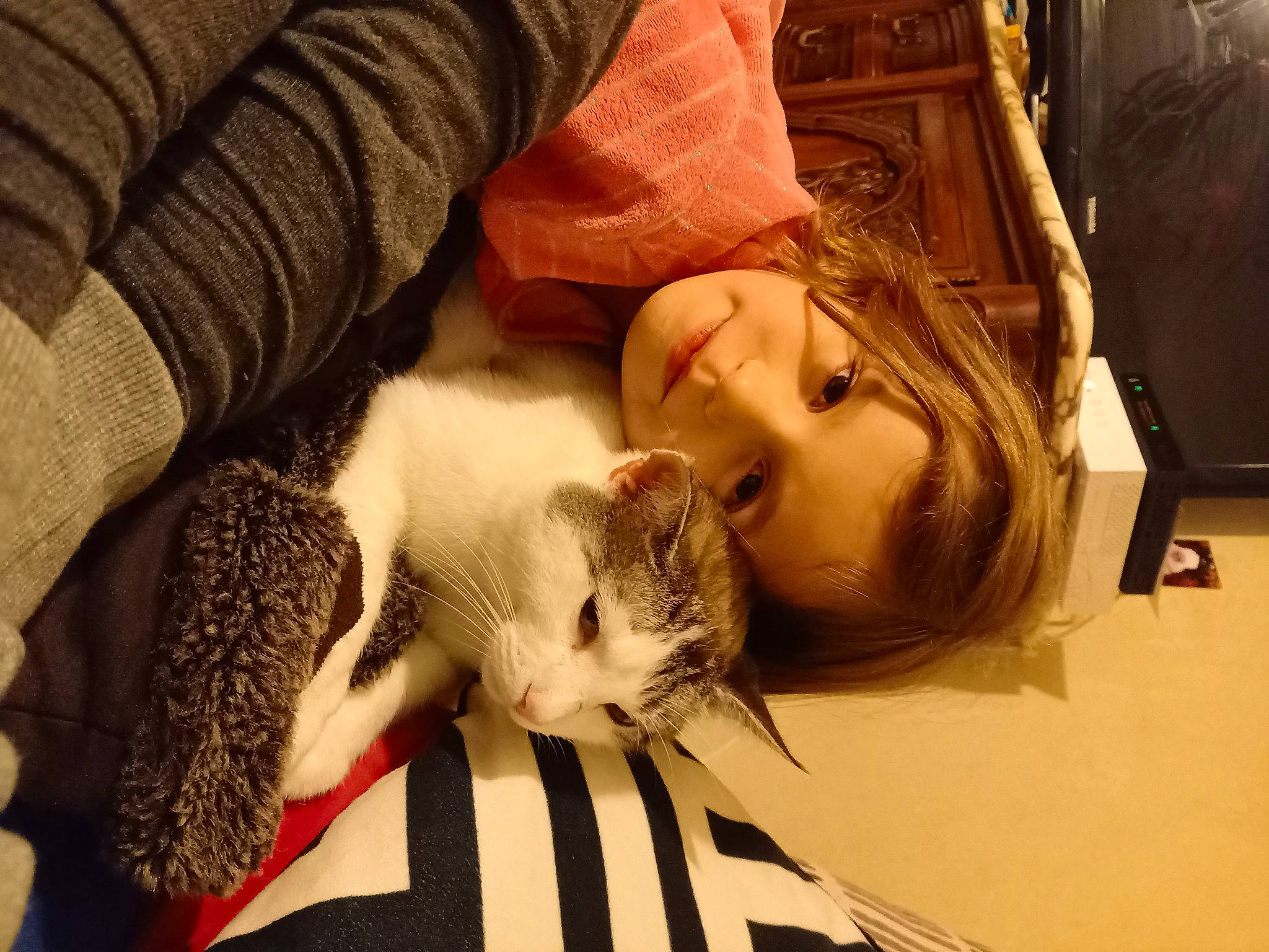 Eva a rejoint le concours — aidez-le/la à gagner de superbes lots ! beard, carnivore, cat, child, comfort, couch, domestic_short_haired_cat, ear, eye, eyelash, fawn, felidae, fur, head, human_body, iris, lap, person, skin, small_to_medium_sized_cats