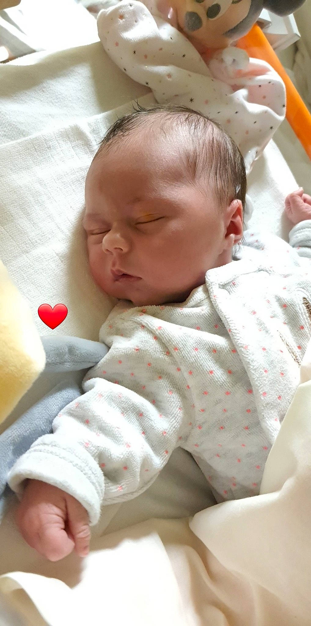 Louise participe au concours pour gagner de l'argent avec cette photo : baby, child, nose, person, play, skin, toddler