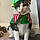 Arlo