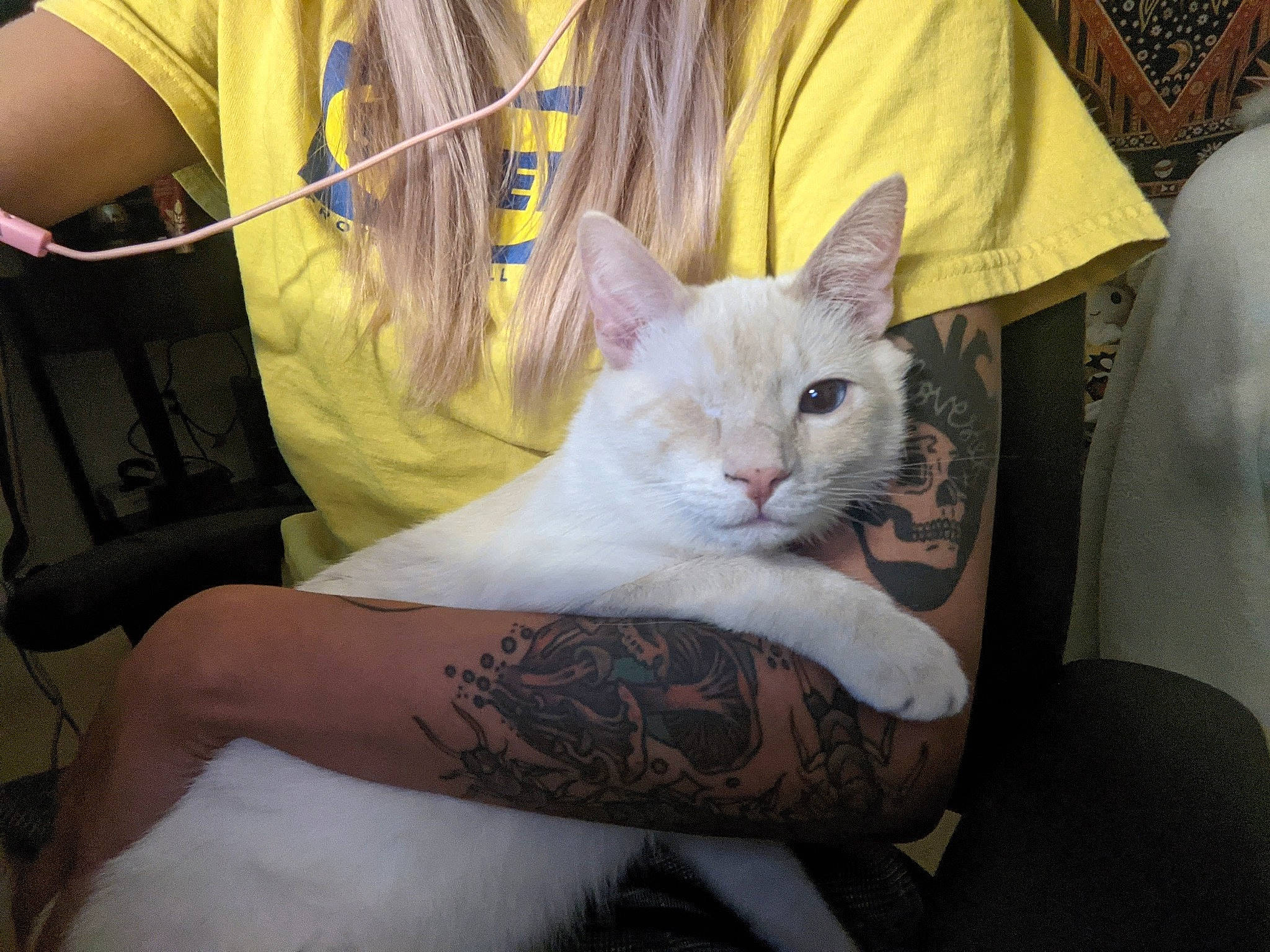 Isaac is registered to the contest to win money with this photo: abdomen, carnivore, cat, chest, comfort, domestic_short_haired_cat, elbow, felidae, fur, gesture, human_leg, nail, sitting, sleeve, small_to_medium_sized_cats, t_shirt, tattoo, trunk, whiskers, wrist