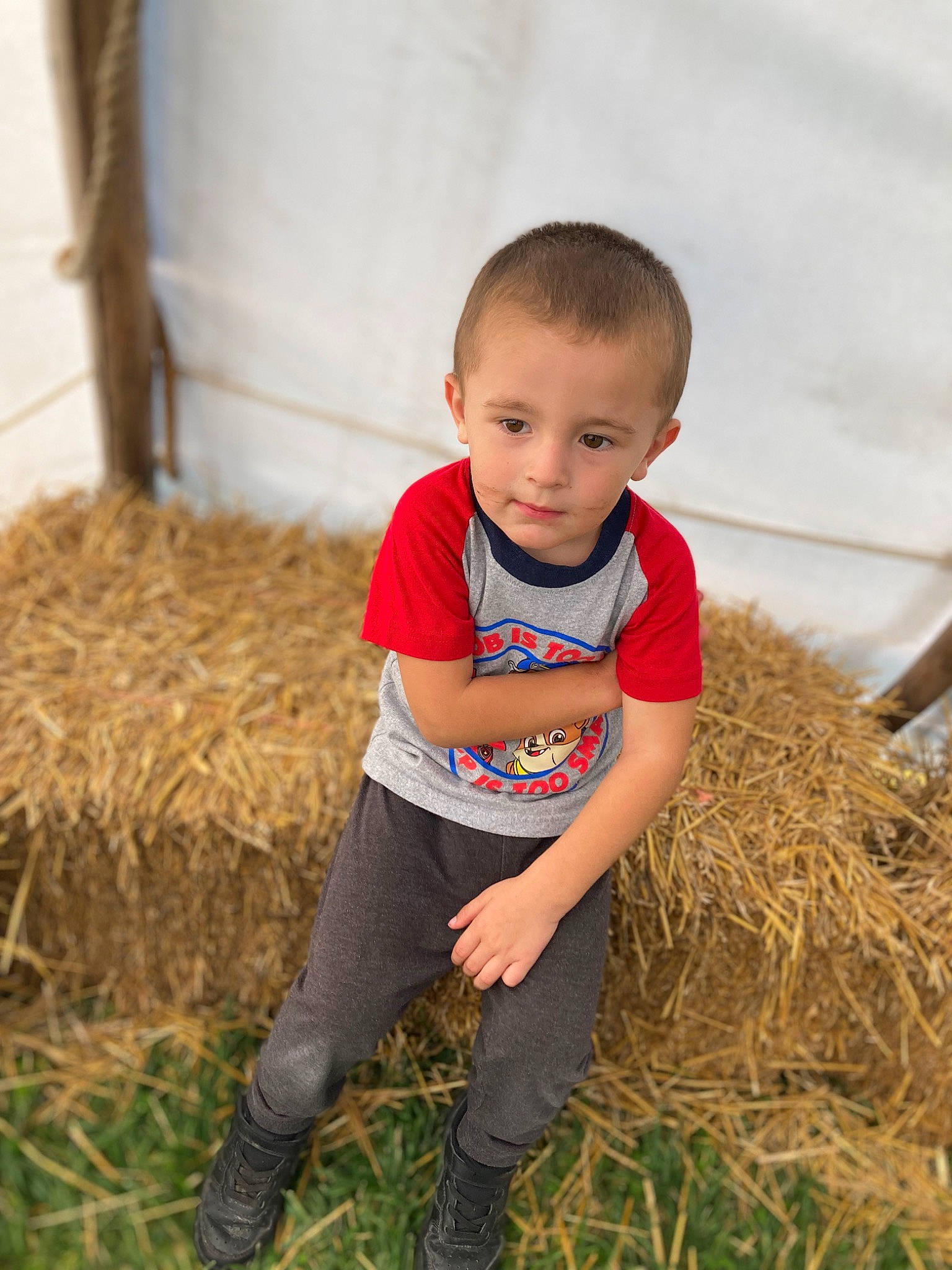 Logan is registered to the contest to win money with this photo: agriculture, baby, baby_toddler_clothing, child, event, eye, field, grass, grassland, happy, hay, head, people_in_nature, person, plant, pumpkin, rural_area, sitting, soil, toddler