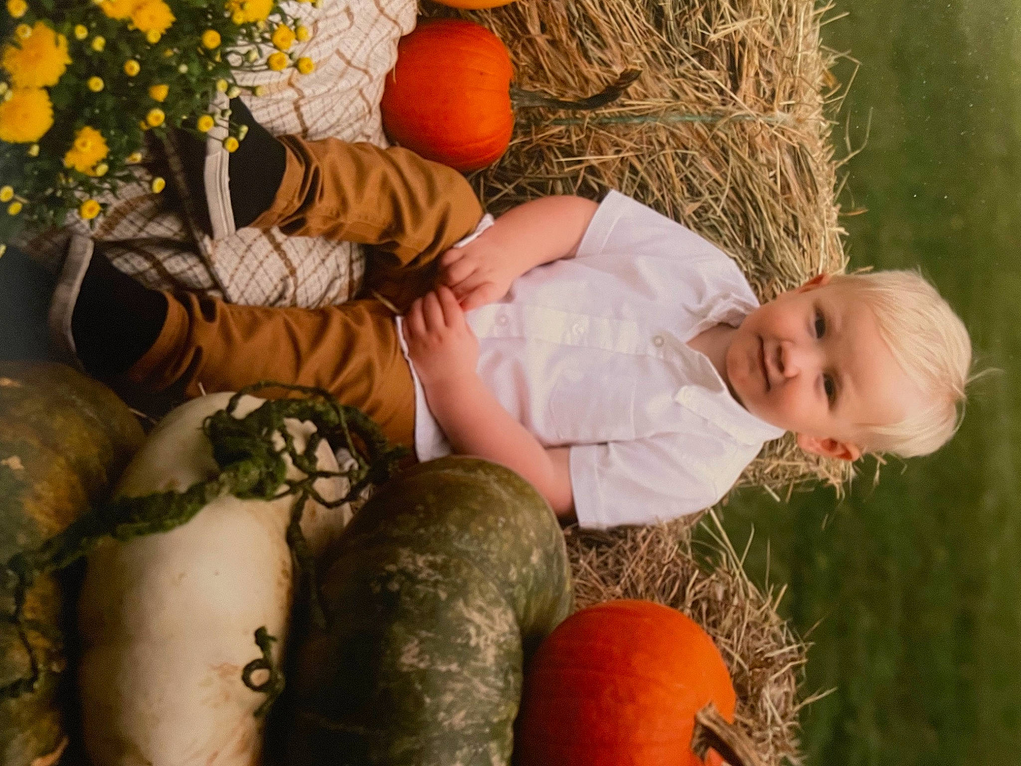 Sam is registered to the contest to win money with this photo: calabaza, cucurbita, flower, gourd, grass, hair, happy, head, human_body, jeans, leaf, mammal, orange, people_in_nature, person, plant, pumpkin, smile, squash, vertebrate
