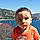 Anis