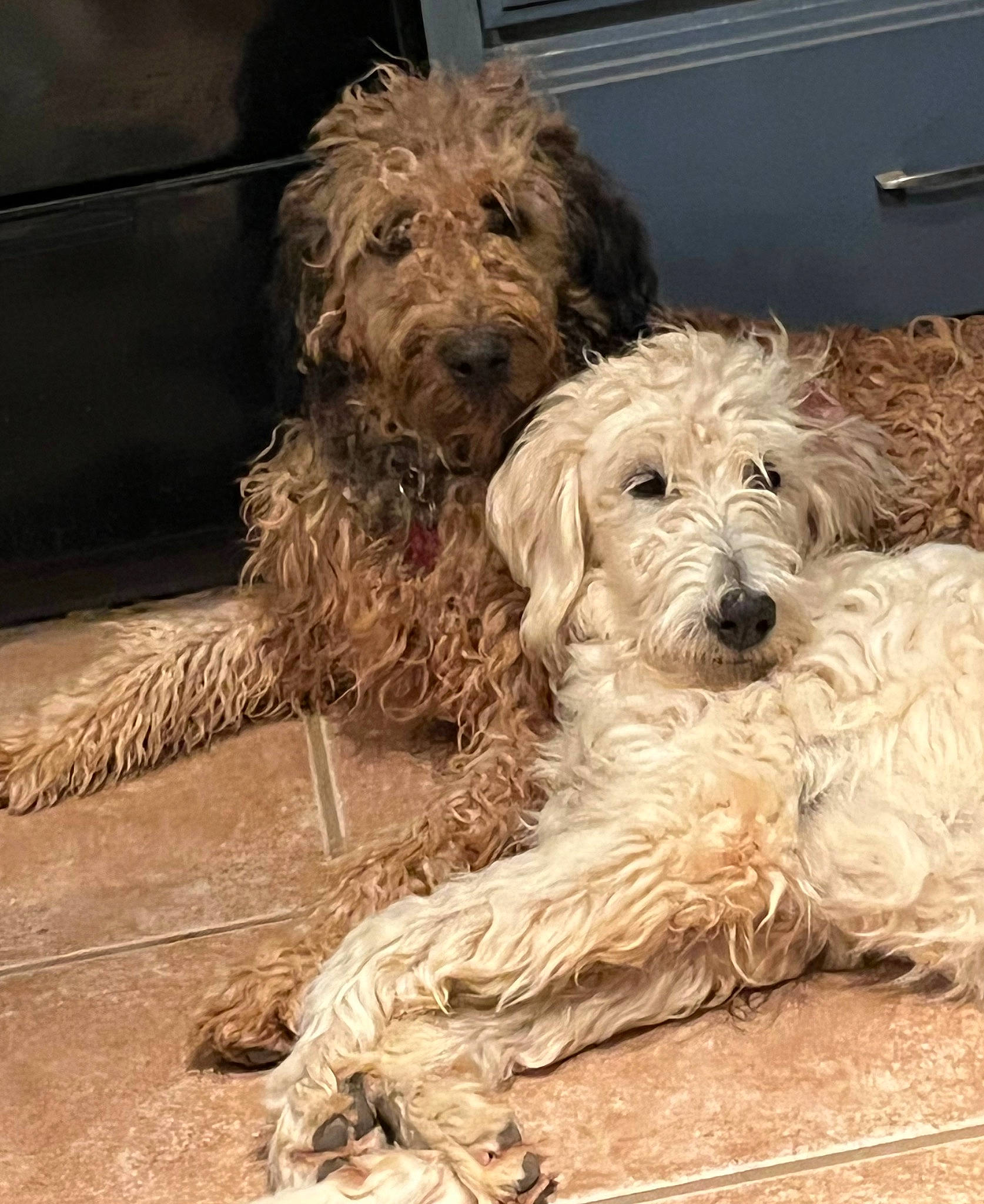 Rosie Posie And Hildie