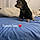 Tobby