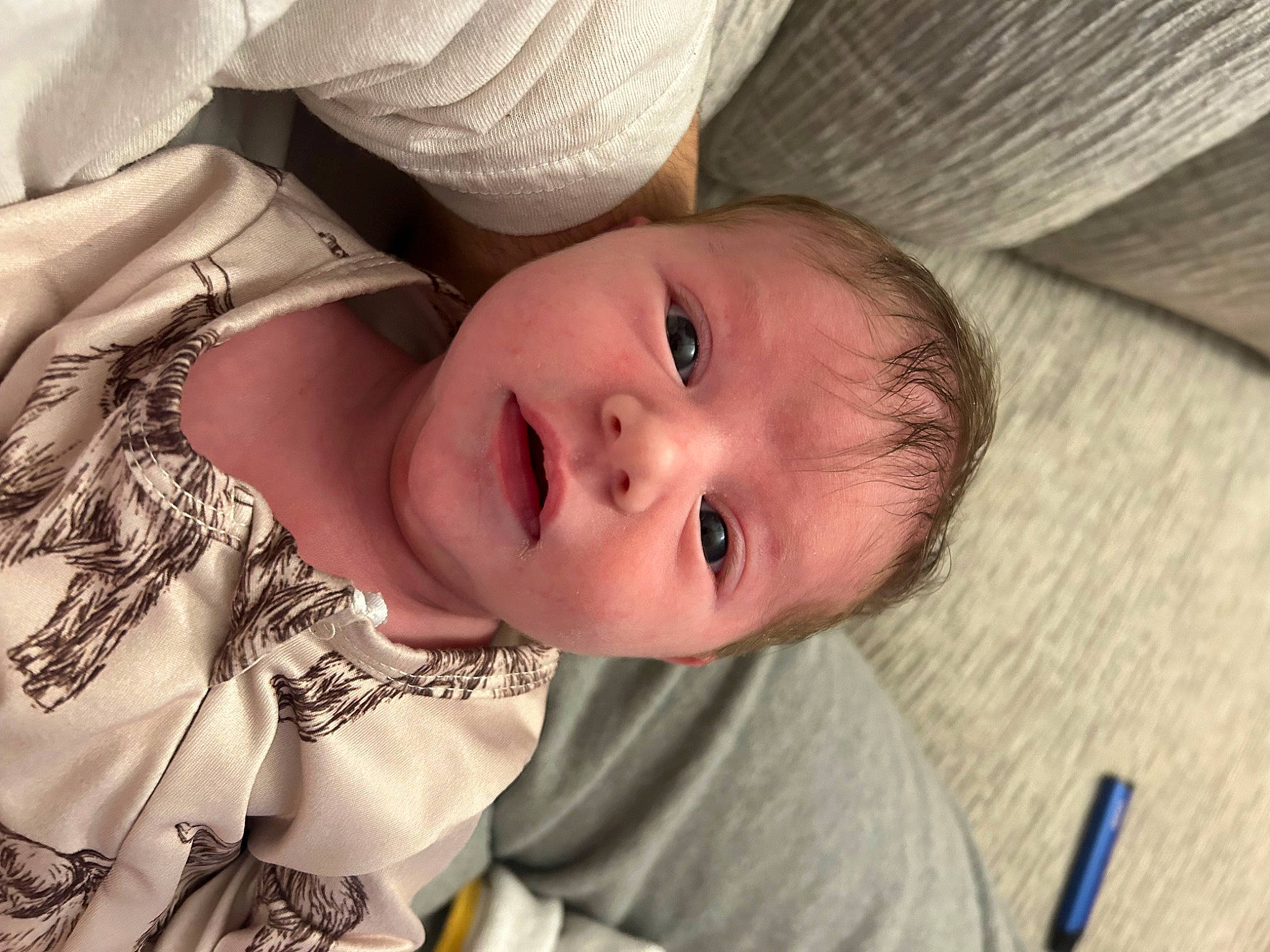 Kinley joined the competition — help win amazing prizes! baby, baby_toddler_clothing, cheek, clothing, comfort, eye, eyebrow, eyelash, face, happy, human_body, iris, lip, mouth, nose, person, skin, smile, toddler, tree