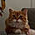 Leonard