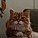 Leonard