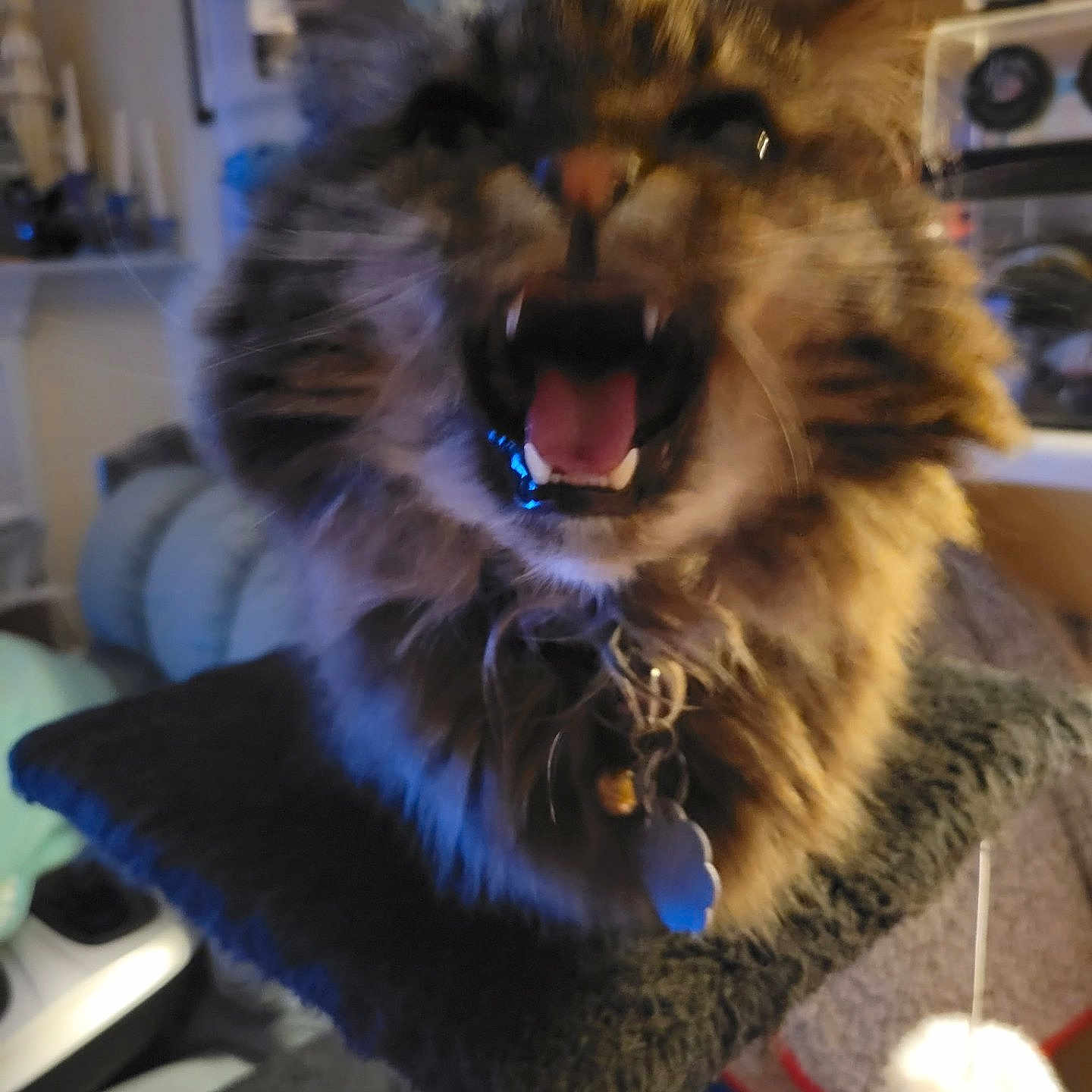 Nala