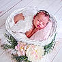 Rebecca a rejoint le concours — aidez-le/la à gagner de superbes lots ! newborn, baby, sleeping, basket, feathers, flowers, pillow, headband, infant, peaceful, skin, hand, floor, wooden_floor, greenery, decor, soft, cute, rest, portrait