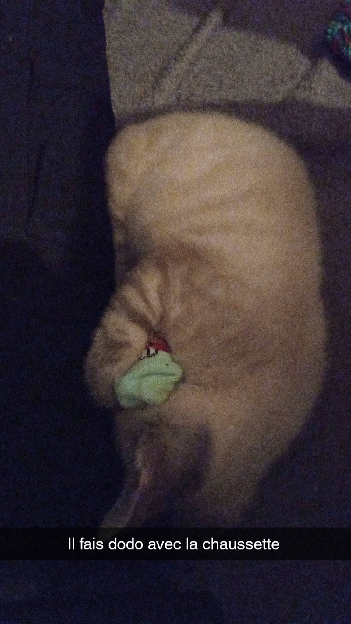 Mino a rejoint le concours — aidez-le/la à gagner de superbes lots ! arm, art, carnivore, cloud, darkness, felidae, foot, fur, gesture, hand, human_body, human_leg, jaw, leg, neck, nose, small_to_medium_sized_cats, tail, visual_arts, whiskers