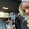 dog, great_dane, car, backseat, woman, blonde, tongue_out, leash, seatbelt, window, sunlight, portrait, pet, happy, smiling, vehicle_interior, collar, seat, human, closeup