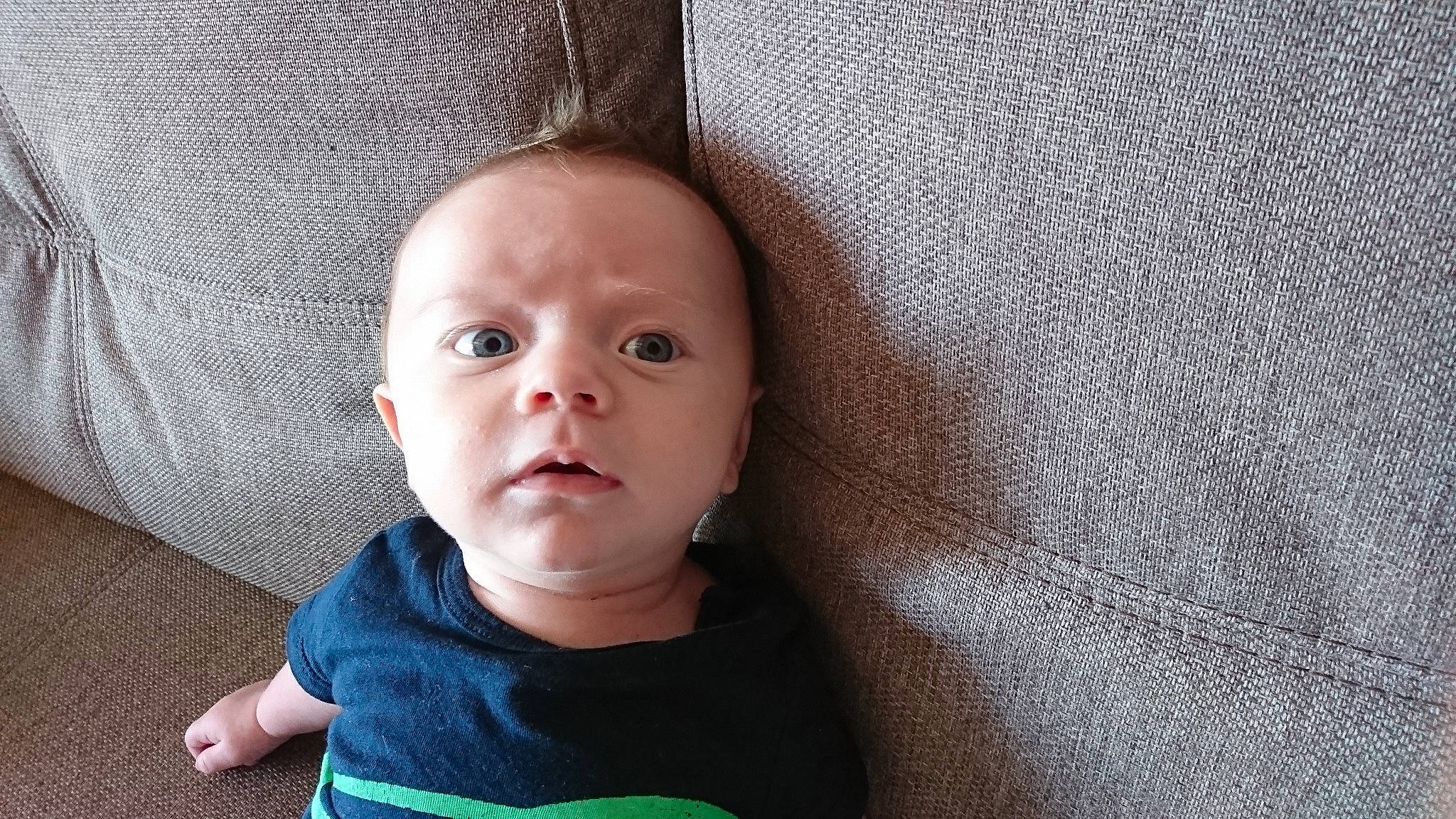 Liam a rejoint le concours — aidez-le/la à gagner de superbes lots ! baby, cheek, child, chin, ear, eye, face, head, lip, mouth, neck, nose, person, photography, skin, toddler