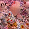 dog, bed, blanket, plush_toy, food, burrito, foil, indoor, curious, small_dog, floral_pattern, pink_lighting, fur, pet, snack, fabric, cute, cozy, resting, carpet
