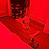 Snoopy is registered to the contest to win money with this photo: dog, toy, floor, laundry_basket, shoes, indoor, wooden_floor, small_dog, fluffy_dog, pet, door, clothing, relaxing, animal, domestic, companion, playful, home, furniture, cozy