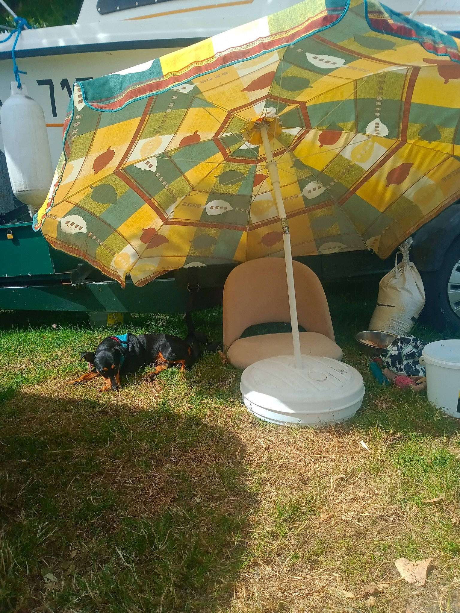 Crevettes a rejoint le concours — aidez-le/la à gagner de superbes lots ! aircraft, automotive_exterior, automotive_tire, automotive_wheel_system, camping, chair, fashion_accessory, grass, landscape, leisure, motor_vehicle, plant, recreation, shade, tarpaulin, tints_and_shades, tire, umbrella, vehicle_door, wheel