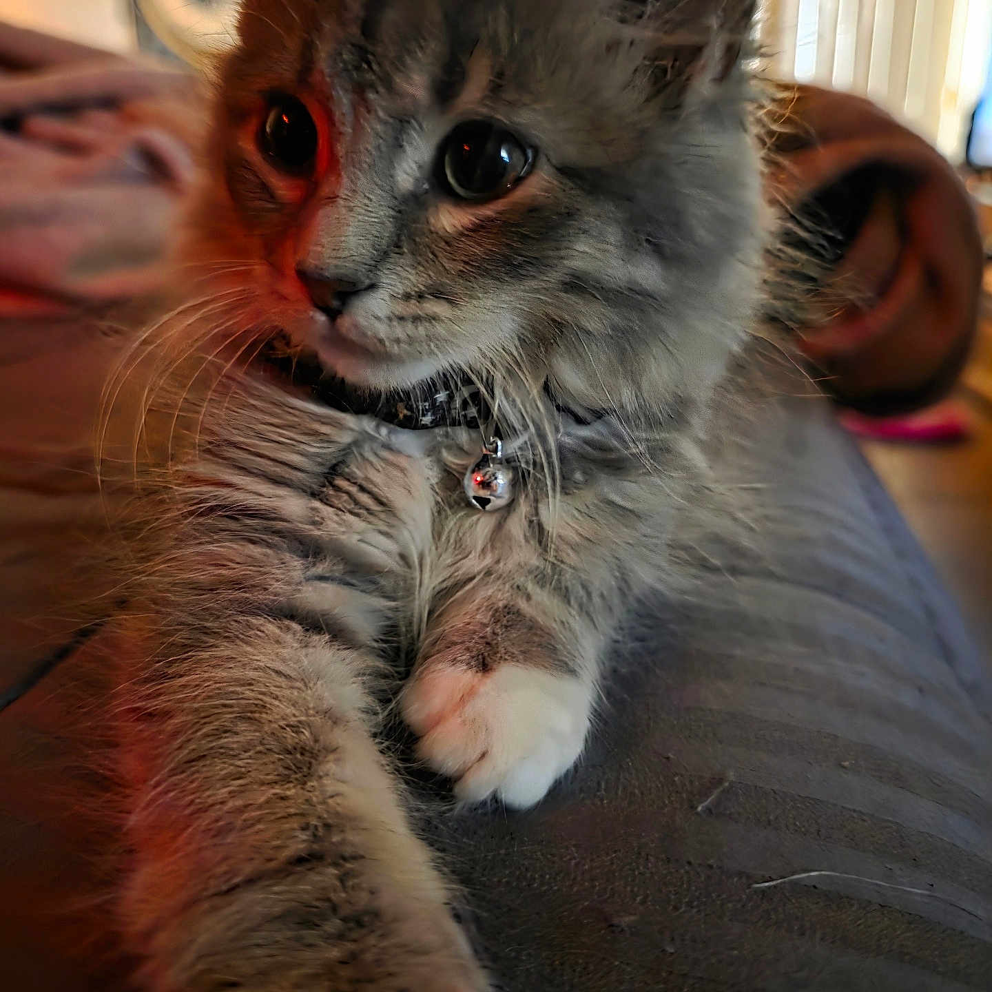 Bama