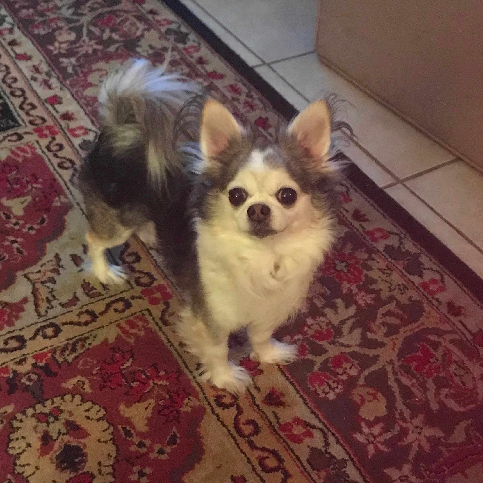 Yoda