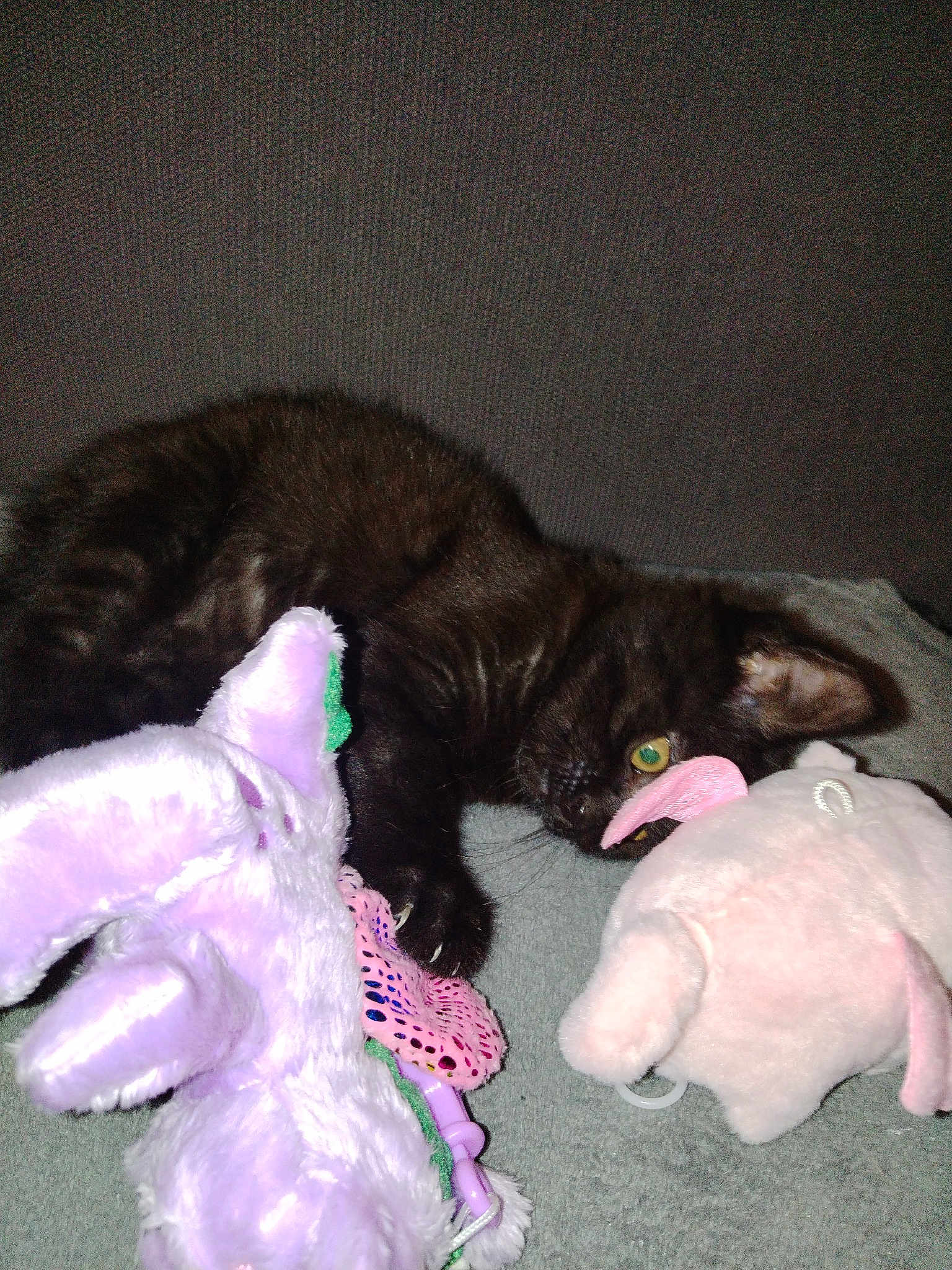 Mishka