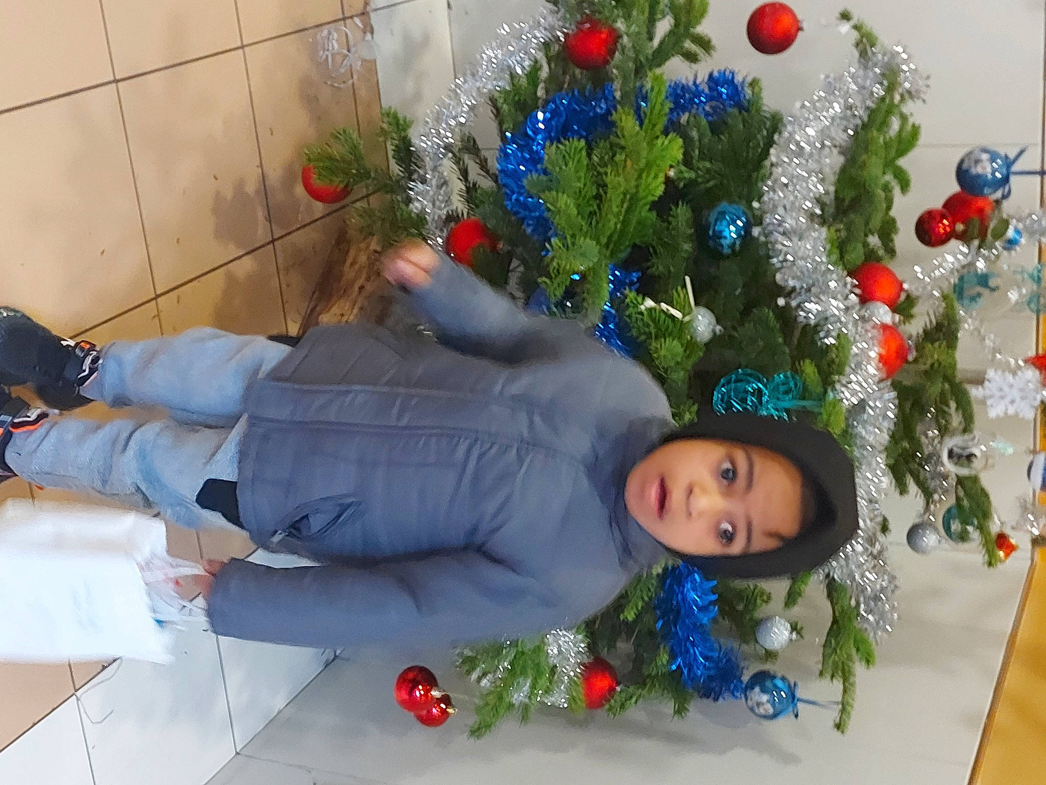 Bradley a rejoint le concours — aidez-le/la à gagner de superbes lots ! christmas, christmas_decoration, christmas_eve, christmas_ornament, christmas_tree, conifer, event, evergreen, floral_design, fun, happy, holiday, holiday_ornament, interior_design, ornament, person, plant, red, surprise, tradition