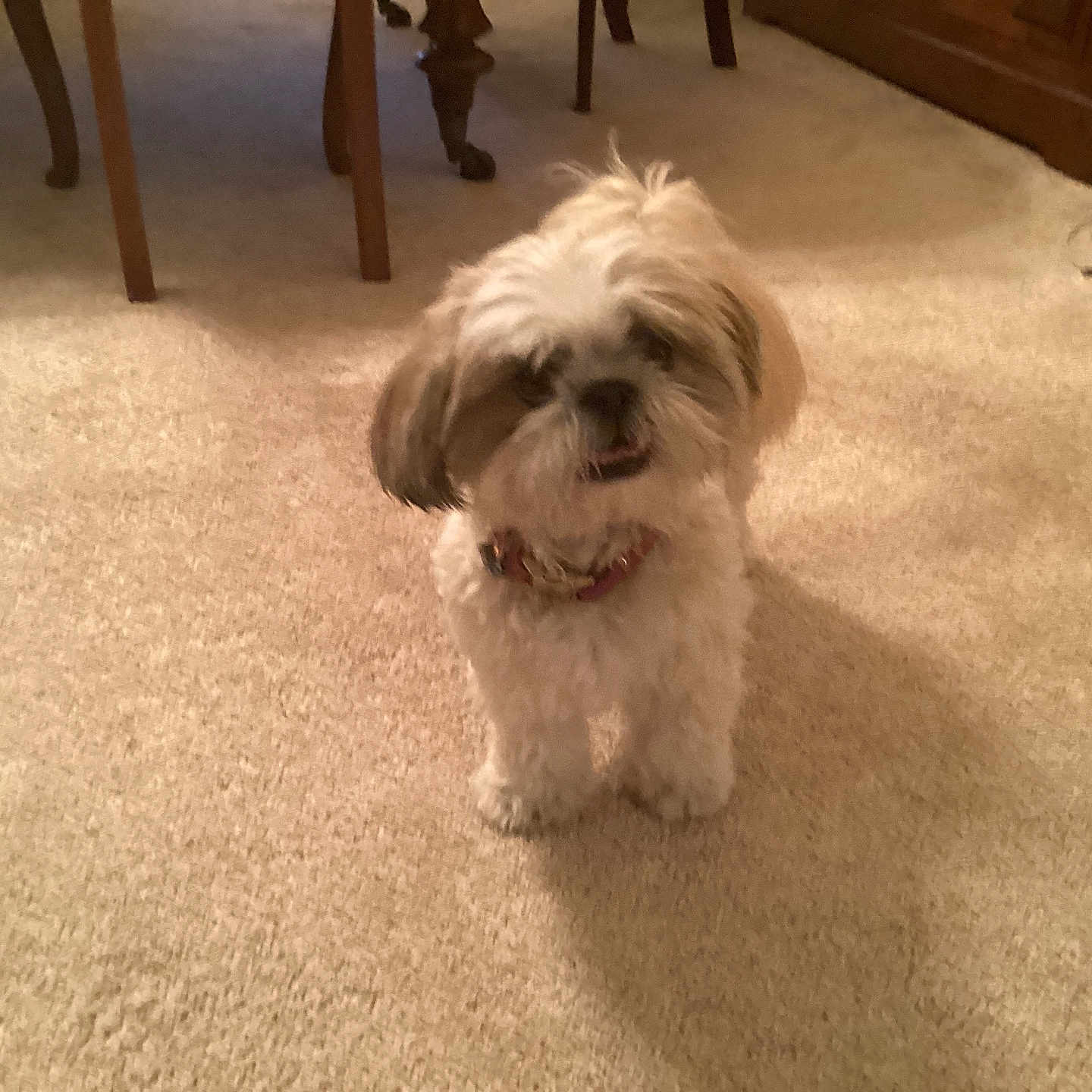 Max