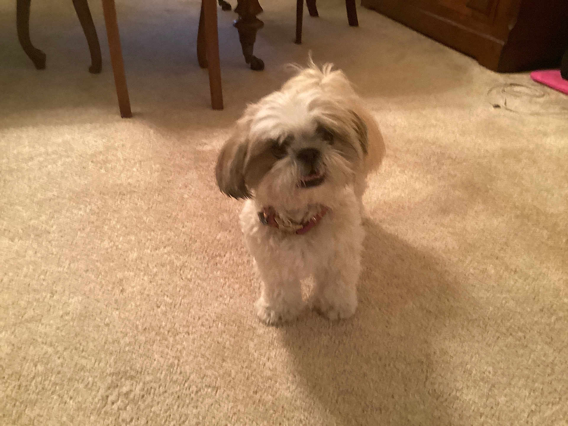 Max