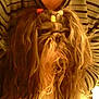 Sully participe au concours pour gagner de l'argent avec cette photo :