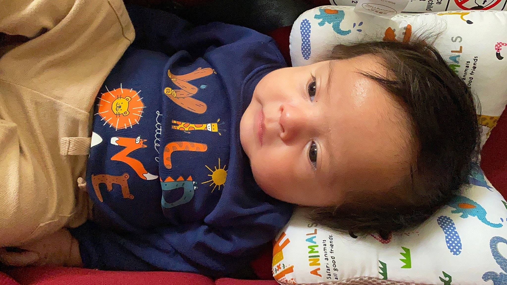 Josiah is registered to the contest to win money with this photo: baby, baby_toddler_clothing, cheek, child, eyelash, fun, happy, mouth, neck, nose, person, room, sleeve, smile, t_shirt, toddler