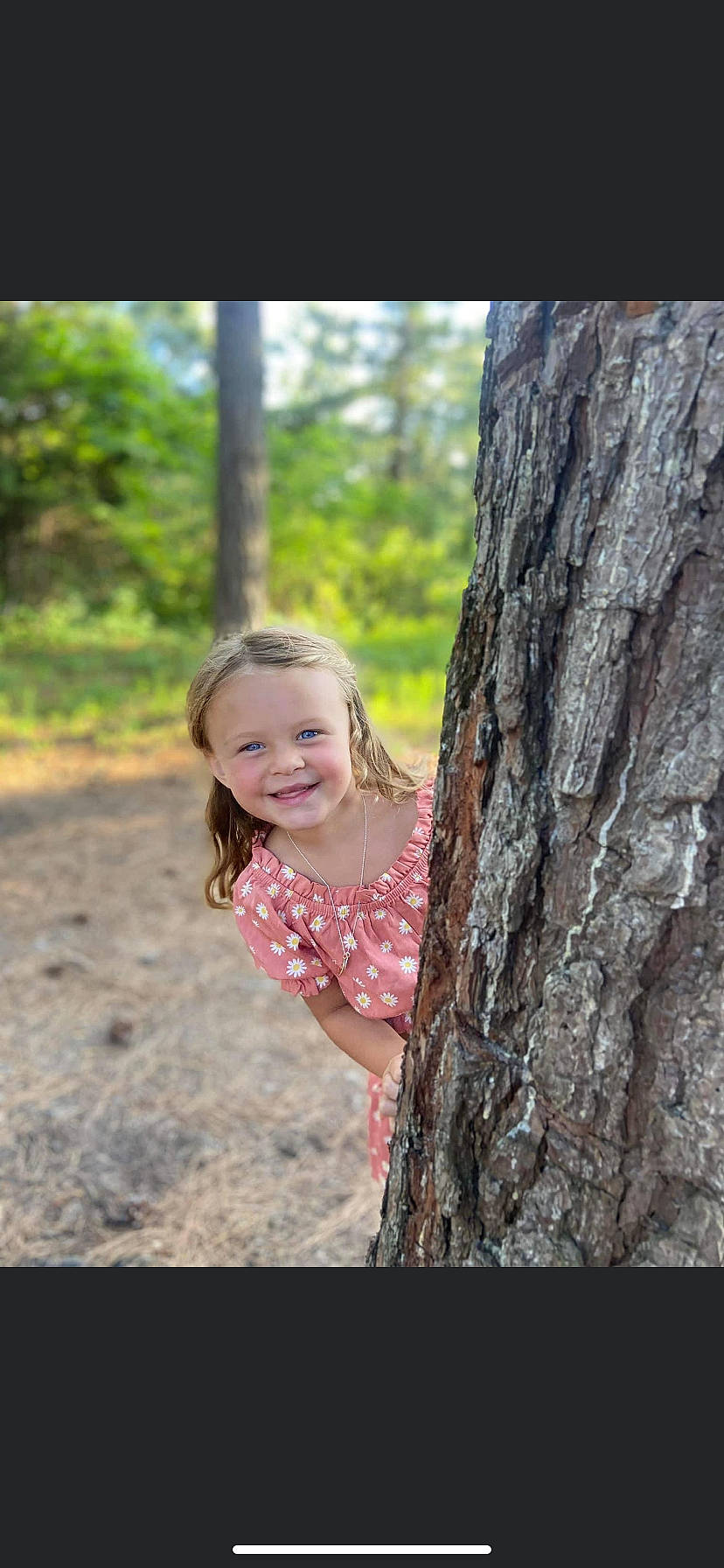 Aubrey is registered to the contest to win money with this photo: blond, branch, flash_photography, forest, grass, happy, joy, leaf, long_hair, natural_landscape, people_in_nature, person, plant, smile, standing, toddler, tree, trunk, wood, woodland
