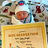 baby, newborn, swaddle, hat, certificate, nicu_graduation, animal_pattern, cushion, sleeping, infant, cute, child, portrait, hospital, celebration, colorful, soft, resting, baby_hat, milestone