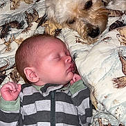 Bolin joined the competition — help win amazing prizes! baby, dog, sleeping, blanket, striped_clothing, pet, infant, cozy, cute, animal, friendship, indoors, resting, peaceful, portrait, young_child, mammal, face, comfort, soft_fabric