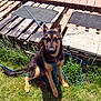 Skar participe au concours pour gagner de l'argent avec cette photo :