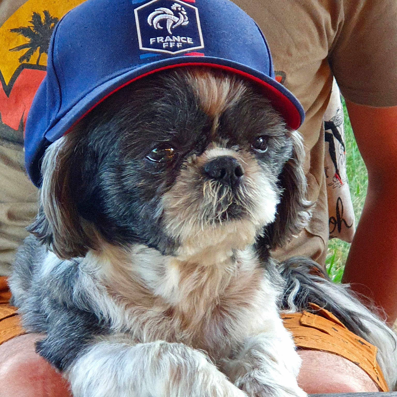 Elliott