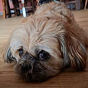 Uggy participe au concours pour gagner de l'argent avec cette photo :