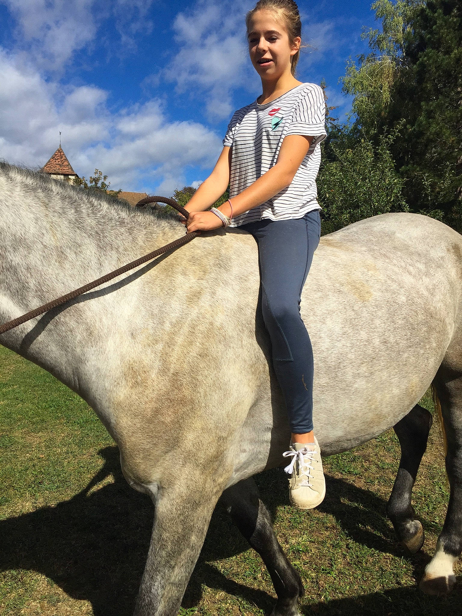 Cybelle a rejoint le concours — aidez-le/la à gagner de superbes lots ! bridle, equestrianism, halter, horse, horse_grooming, horse_like_mammal, horse_supplies, horse_tack, horse_trainer, jockey, livestock, mane, mare, mustang_horse, neck, pack_animal, person, rein, saddle, stallion