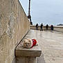 dog, pomeranian, small_dog, red_sweater, bench, stone_wall, eiffel_tower, paris, landmark, tourist, people, pavement, outdoor, overcast, fluffy, cute, portrait, shallow_depth_of_field, foreground_subject, urban