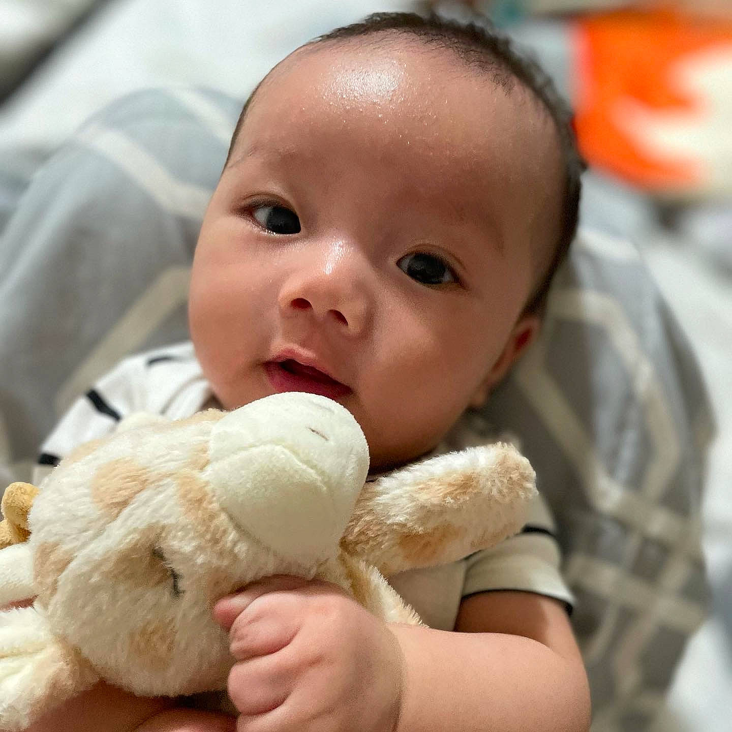 Karter is registered to the contest to win money with this photo: baby, baby_sleeping, cheek, chin, comfort, ear, eye, eyelash, finger, gesture, hand, happy, nose, person, product, skin, textile, thumb, toddler, toy