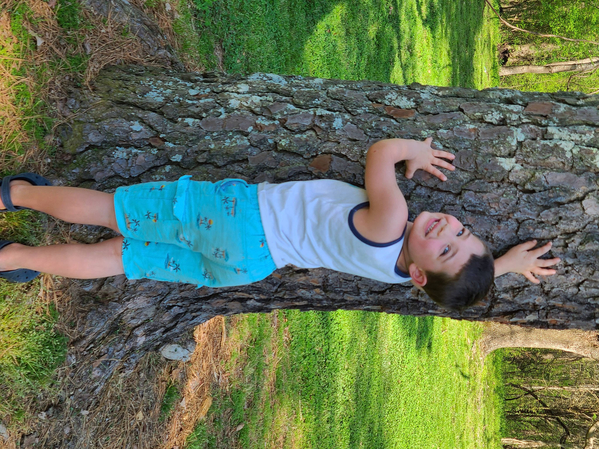 Johnny joined the competition — help win amazing prizes! flash_photography, fun, grass, grass_family, green, happy, human_body, joint, joy, leaf, leisure, mammal, muscle, nature, people_in_nature, person, plant, thigh, tree, trunk