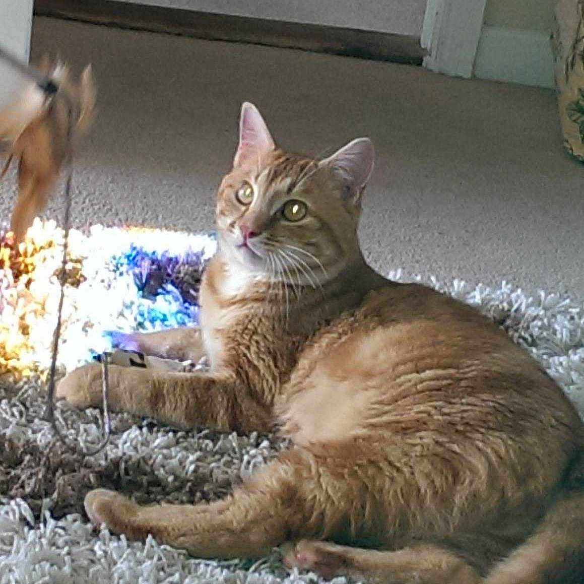 Dylan joined the competition — help win amazing prizes!