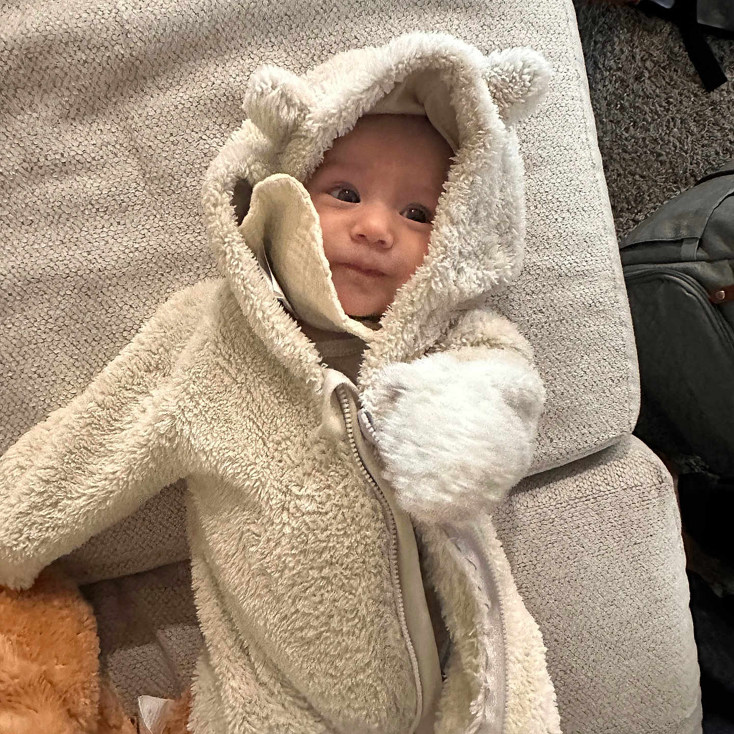 Kai Lovato is registered to the contest to win money with this photo: baby, infant, child, portrait, face, eyes, looking_at_camera, cozy, hooded_outfit, bear_costume, fleece, blanket, chair, seated, indoors, plush_toy, soft_texture, cute, snuggled, home