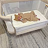 Kai Lovato is registered to the contest to win money with this photo: baby, infant, bassinet, crib, pacifier, bear_costume, knit_outfit, nursery, sleeping_area, lying_down, face, eyes_open, indoor, home, baby_gear, white_mattress, mesh_sides, rug, furniture, portrait