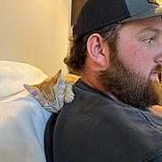 Gilligan is registered to the contest to win money with this photo: animal, beard, blanket, cap, casual_clothing, closeup, comfort, couch, furniture, human, indoor, kitten, man, orange_cat, pet, profile, relaxation, rest, shoulder, sleeping_cat