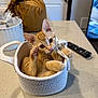 Gilligan is registered to the contest to win money with this photo: bag, basket, cat, countertop, cozy, curious, cute, domestic, ears, feline, home, indoor, kitten, orange_tabby, paws, pet, playful, remote_control, tail, whiskers