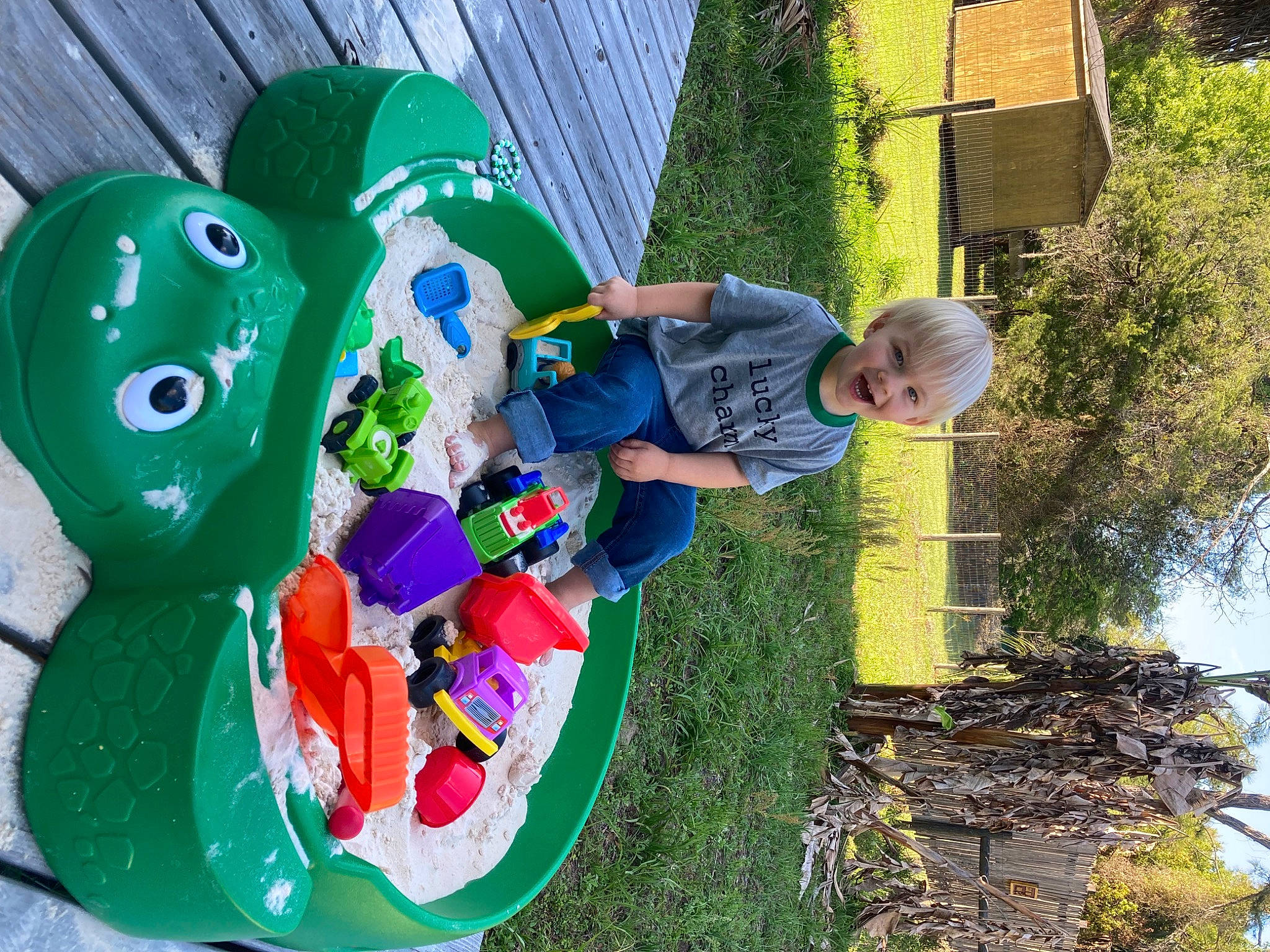 Canaan is registered to the contest to win money with this photo: adaptation, carmine, child, city, event, fun, garden, grass, green, landscape, leisure, organism, people_in_nature, person, plant, play, recreation, t_shirt, toddler, tree