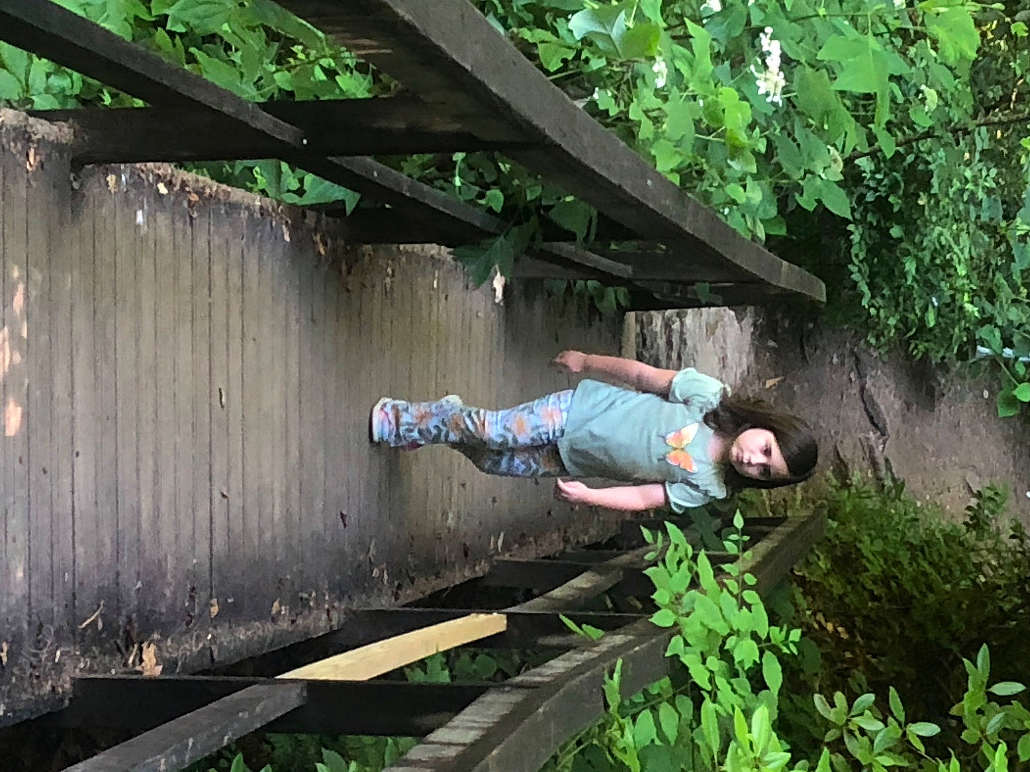 Mikayla is registered to the contest to win money with this photo: backyard, forest, garden, grass, groundcover, jungle, landscape, leaf, leisure, people_in_nature, person, plant, rainforest, recreation, shade, shorts, shrub, t_shirt, terrestrial_plant, wood