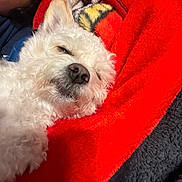 Coconut joined the competition — help win amazing prizes!