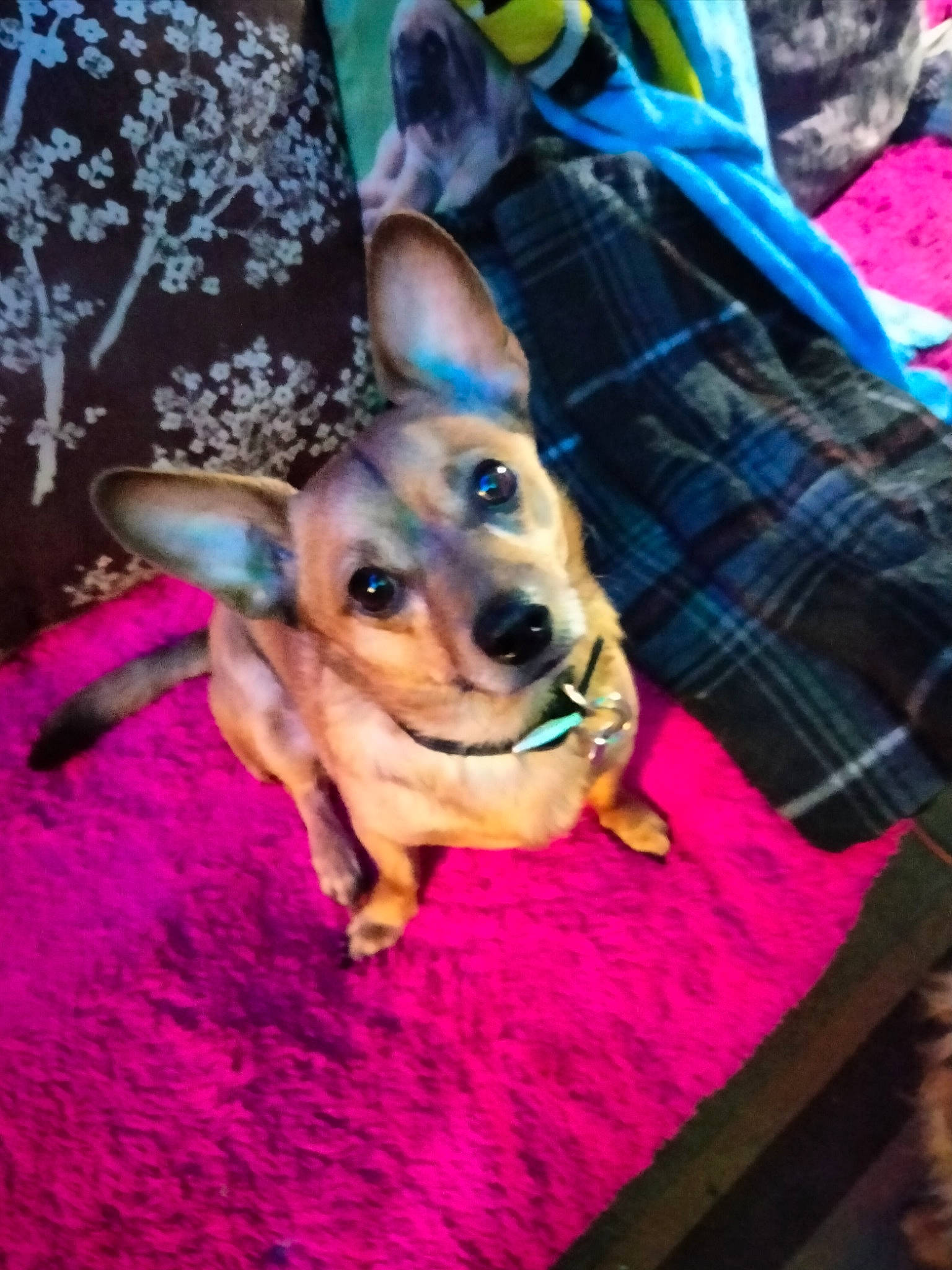 Max