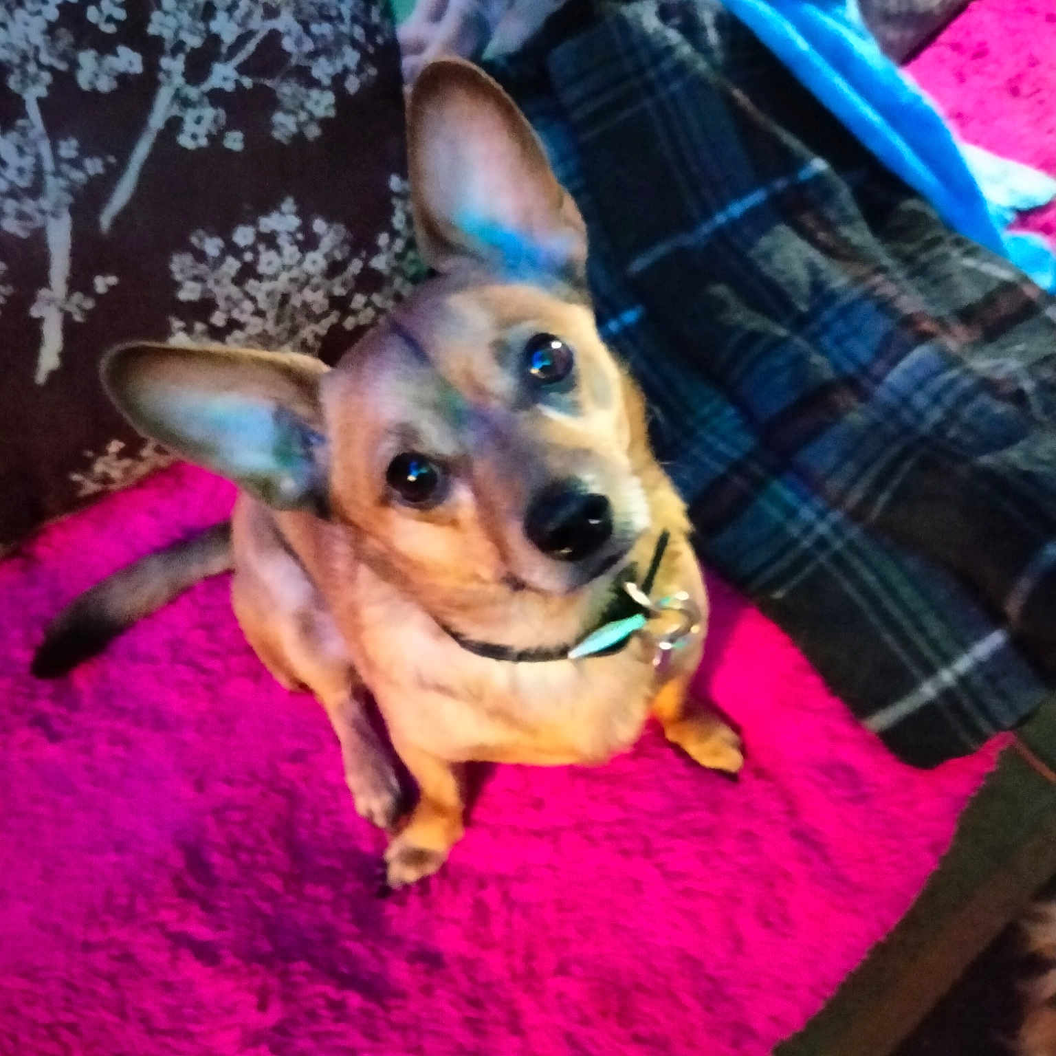 Max