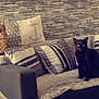 Ossaka participe au concours pour gagner de l'argent avec cette photo : bed_sheet, bedding, black, black_and_white, black_cat, cat, comfort, cushion, design, felidae, fur, furniture, interior_design, linens, pillow, room, small_to_medium_sized_cats, textile, wall, whiskers